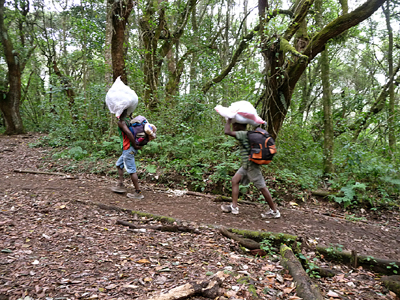 Porters on the Kili trail