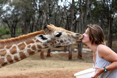 Giraffe Manor, Nairobi Kenya - ©Katie Osborn