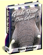 Guide Your Own Safari eBook