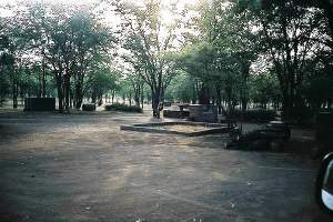 Robins Camp, Hwange