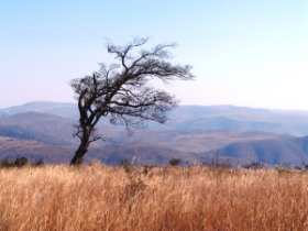 Landscape at Ithala Game Reserve