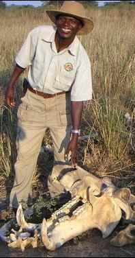 Chachacha guide showing hippo skeleton - Zambia safari