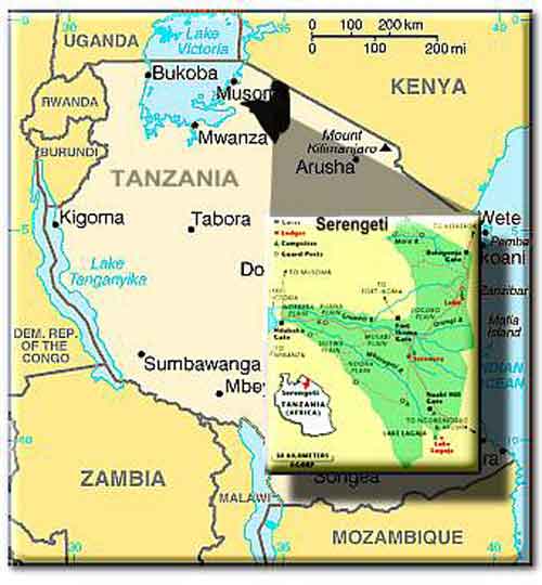 Tanzania serengeti mapp