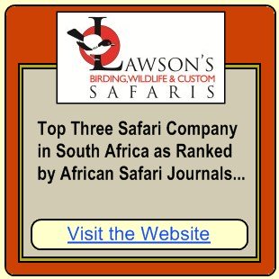 Lawsons Safaris