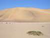 Namib dune