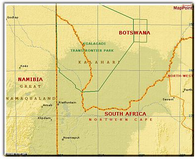 Kalahari Safari Facts Tips And Advice