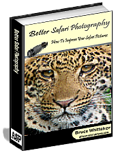 Free better safari photography e-book