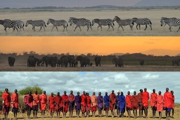 Zebras, Elephants and the Masaai people of Kenya