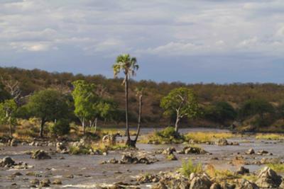 Ruaha River