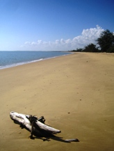 Saadani beach