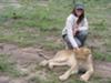 Walking with lions in Zambia