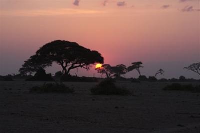 Amboseli Sunset