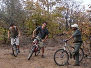 Guided bicycle game ride, Kruger