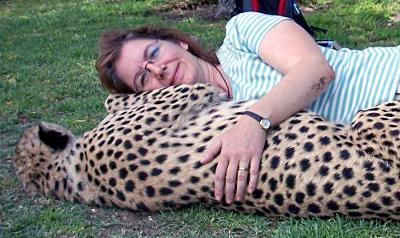 Elaine with a Harnas Cheetah 