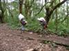 Kilimanjaro porters