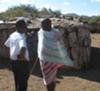On the way to Joseph's Maasai village, we stopped to visit his brother-in-law, which gave me a closeup of the hut. They have one for each wife. 