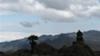 Kilimanjaro vegetation