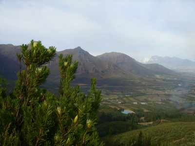 Western Cape and proteas