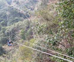 Zip line - © Yvonne Fox